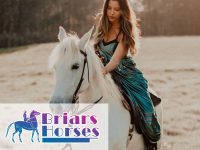 Featured image 3 Things To Know When Considering Horse Riding Video Games Over Real Horse Riding 200x150 - 3 Things To Know When Considering Horse Riding Video Games Over Real Horse Riding