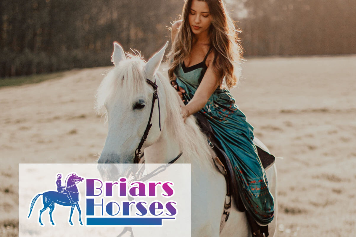 Featured image 3 Things To Know When Considering Horse Riding Video Games Over Real Horse Riding - 3 Things To Know When Considering Horse Riding Video Games Over Real Horse Riding