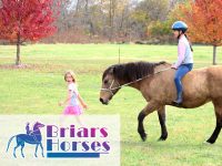 Featured image 4 Reasons Why Horse Riding Is So Popular 200x150 - 4 Reasons Why Horse Riding Is So Popular