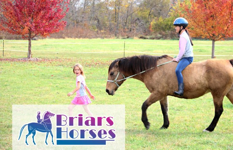 Featured image 4 Reasons Why Horse Riding Is So Popular 761x492 - 4 Reasons Why Horse Riding Is So Popular
