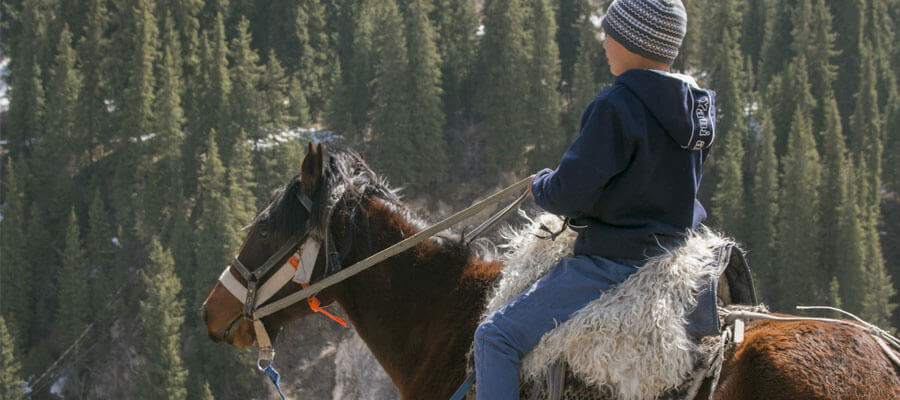 Featured image 4 Reasons Why Horse Riding Is So Popular The feeling of confidence and accomplishment - 4 Reasons Why Horse Riding Is So Popular