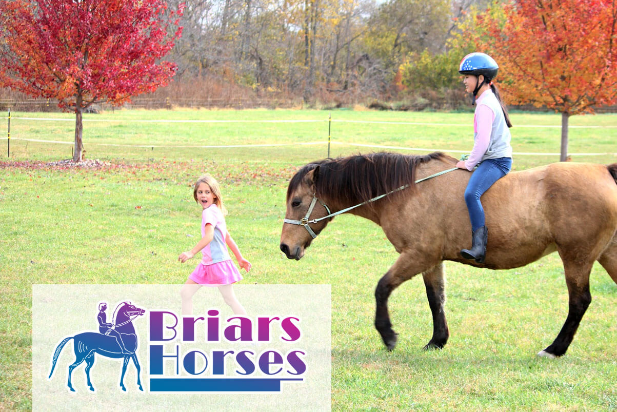 Featured image 4 Reasons Why Horse Riding Is So Popular - 4 Reasons Why Horse Riding Is So Popular