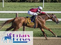 Featured image 5 Tips for Preparing Horses for Horse Racing 200x150 - 5 Tips for Preparing Horses for Horse Racing