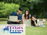 Featured image Top 3 Horse Racing Themed Slot Games That You Can Play 200x150 - Top 3 Horse Racing Themed Slot Games That You Can Play